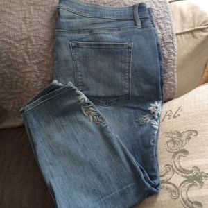 LOFT Plus Modern Skinny Jeans Size 22